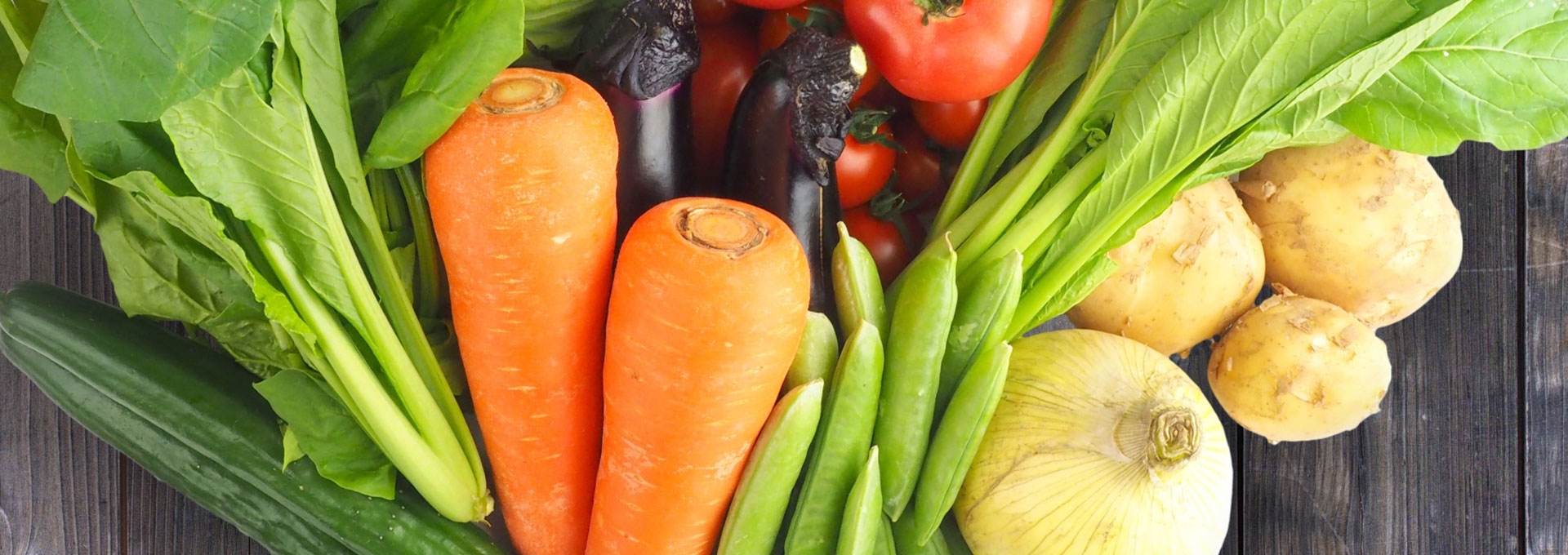 事業計画・事業報告image